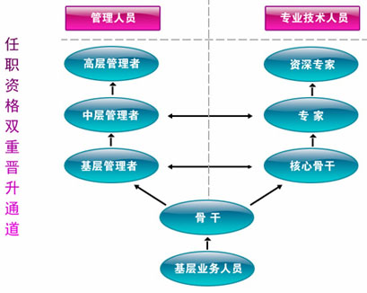河北省人口信息_河北省签发首张 外国高端人才确认函(3)